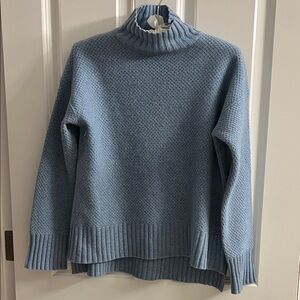 Everlane Light Blue Cashmere Turtleneck Sweater
